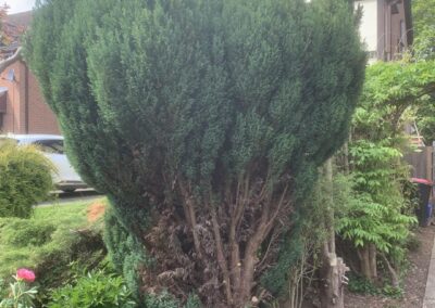 shropshire home and garden facebook gallery 34